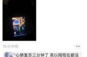包包视频爆料,揭秘明星私藏时尚单品