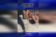 男子爆料电击视频大全,男子爆料电击视频大全引发社会关注