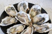 瓜沥生蚝免费吃,免费畅享的海鲜狂欢之旅