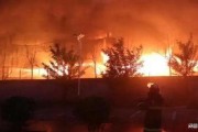 南阳爆料最新事件视频,视频揭露惊人真相，网友热议不断